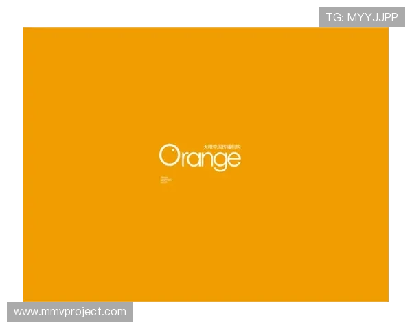 深入了解尊龙集团登录入口网址及其在线服务功能